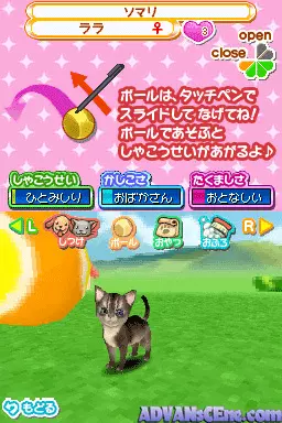 Image n° 3 - screenshots : Machi no Pet-Ya-san DS 2 - Wan Nyan 333-Hiki Daishuugou!